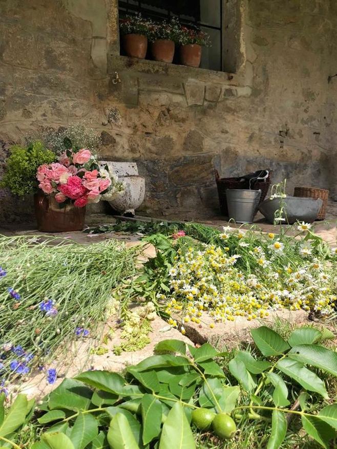 Ubytovani Napoli Stara Cervena Voda Dış mekan fotoğraf